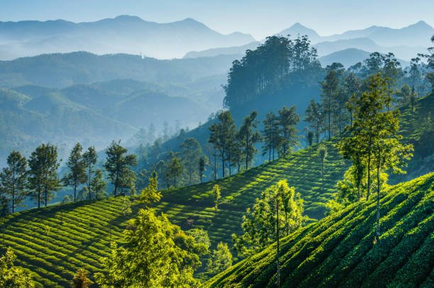 5 days Darjeeling & Gangtok Honeymoon Package - from ₹15,699pp